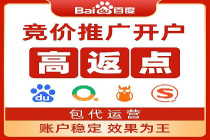 SEM竞价开户流程详解：成功案例解析